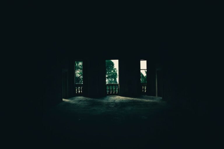Eerie interior of an empty building with windows showing trees outside, evoking mystery.