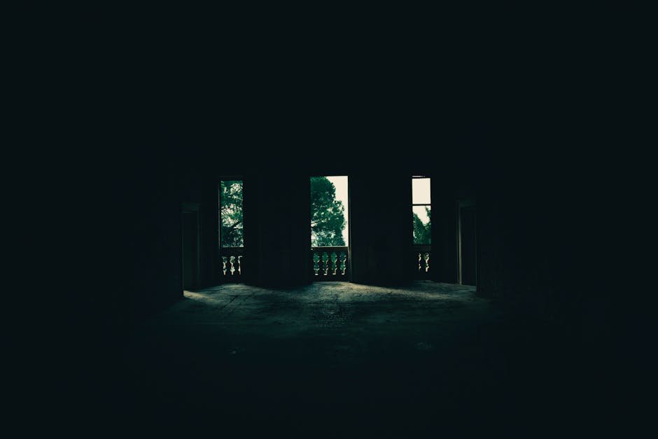 Eerie interior of an empty building with windows showing trees outside, evoking mystery.