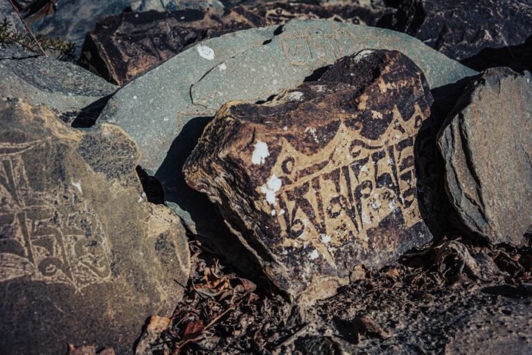 Close-up of ancient inscriptions on rocks in Ladakheda, India, showcasing cultural heritage.